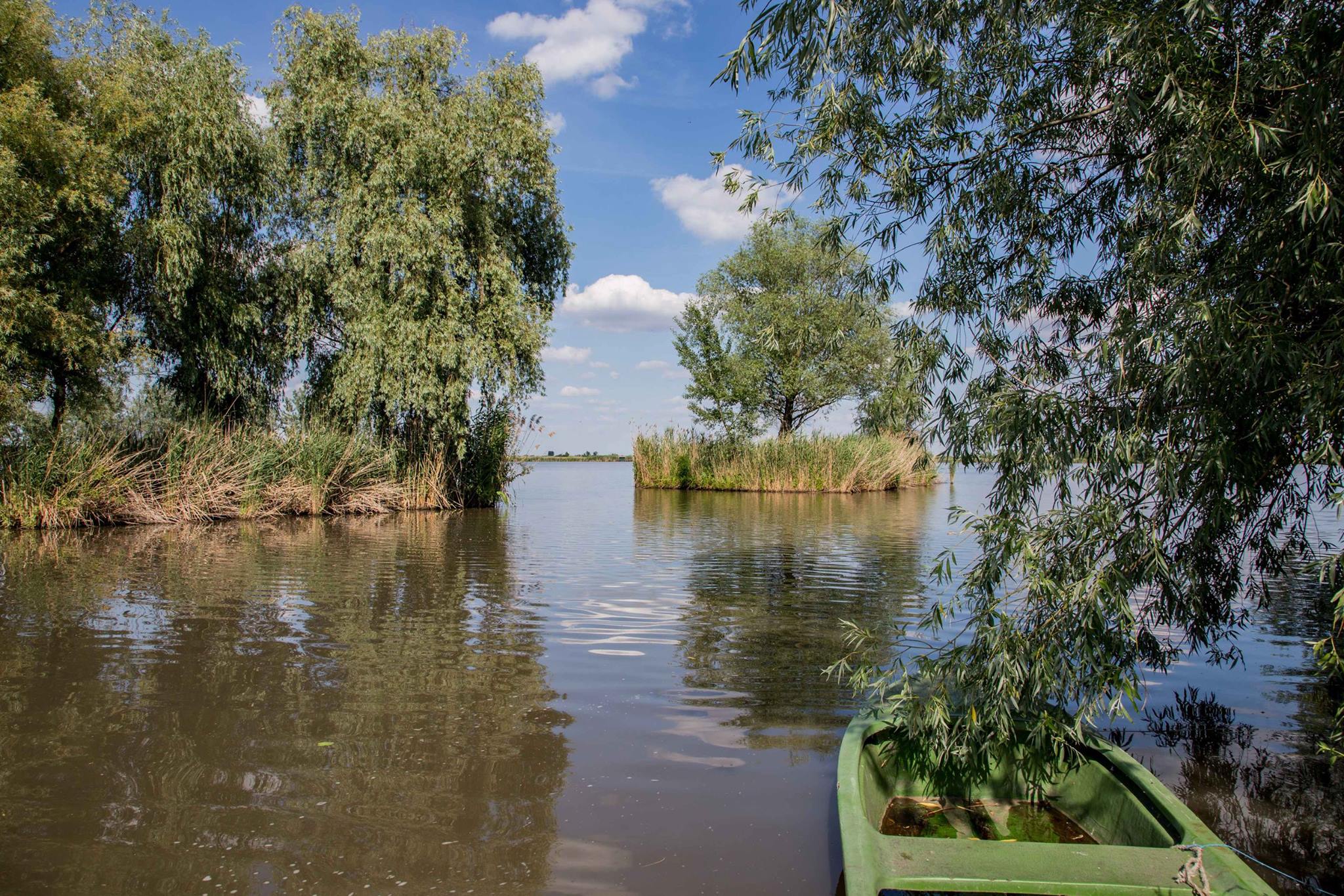 horgásztó 1. horgásztó 1.